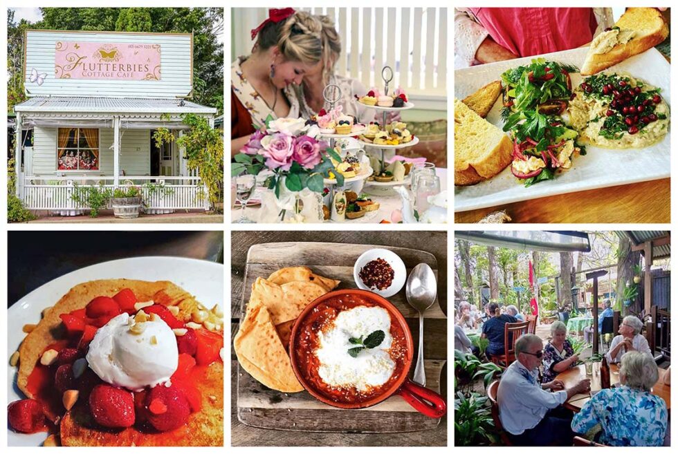 Eat / Drink Discover Tyalgum